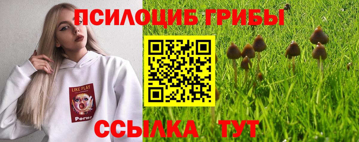 Рязань  Псилоцибиновые грибы GOLDEN TEACHER  Вход с VPN 